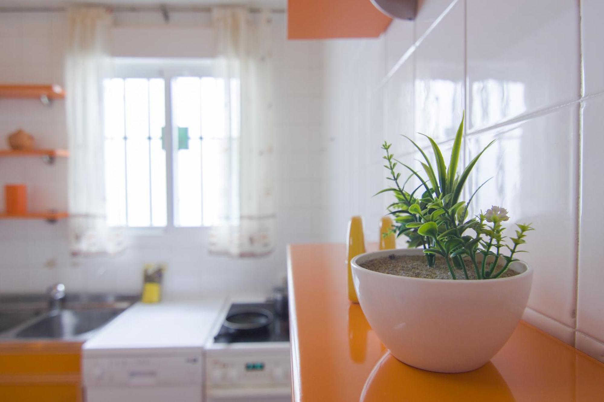 Appartamento Rentalsevilla Buiza Y Mensaque Siviglia